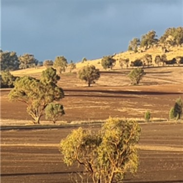Flinders Ranges & Arkaroola 27  