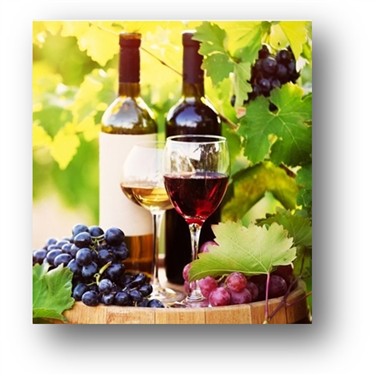 Roam Rutherglen 2026 - Sat